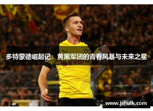 多特蒙德崛起记：黄黑军团的青春风暴与未来之星
