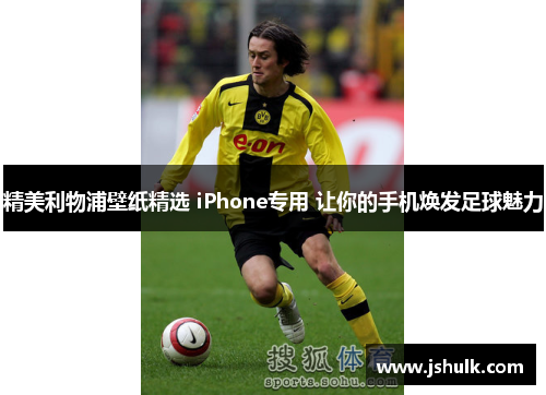 精美利物浦壁纸精选 iPhone专用 让你的手机焕发足球魅力